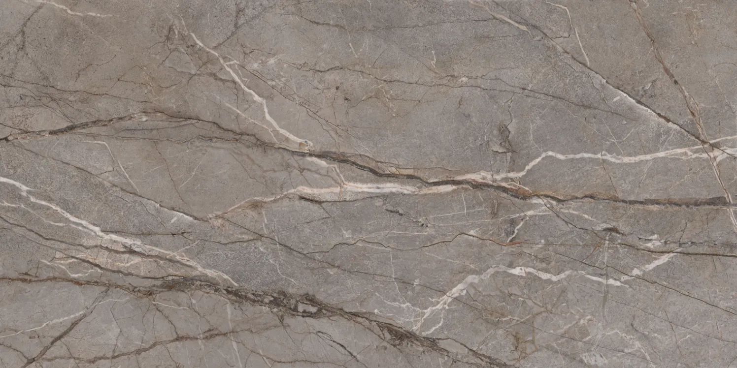 SILVER ROOT